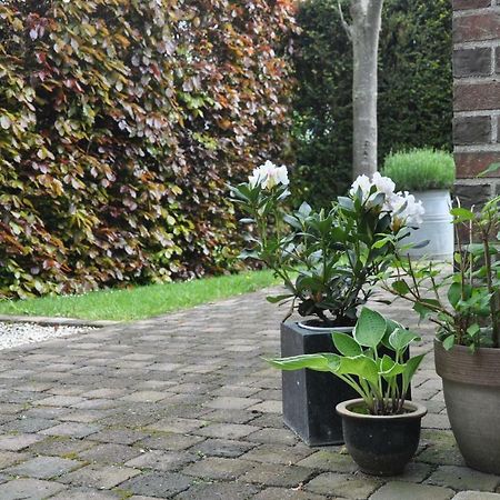 Bed and Breakfast De Logeur Asse Zewnętrze zdjęcie