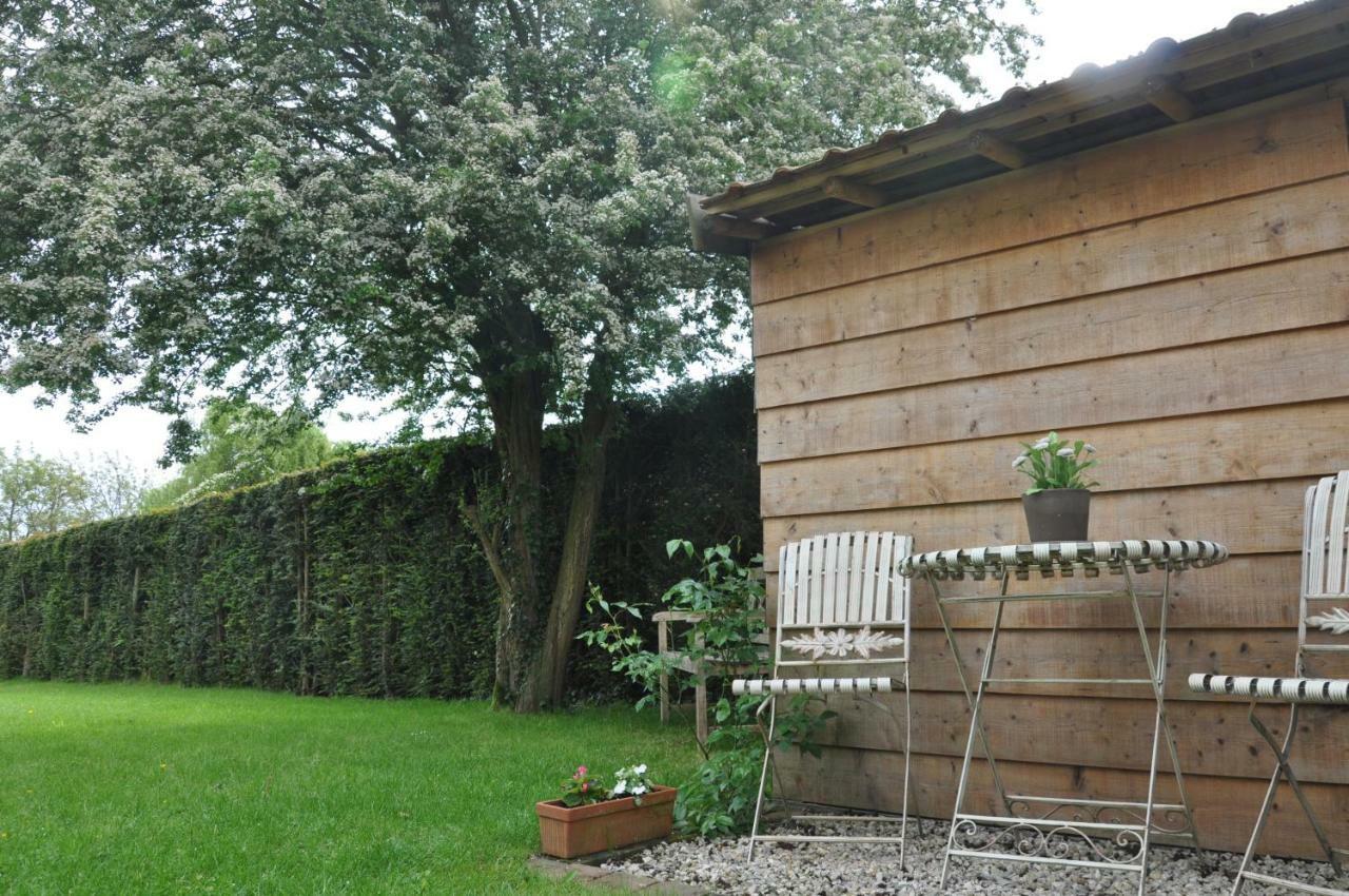 Bed and Breakfast De Logeur Asse Zewnętrze zdjęcie