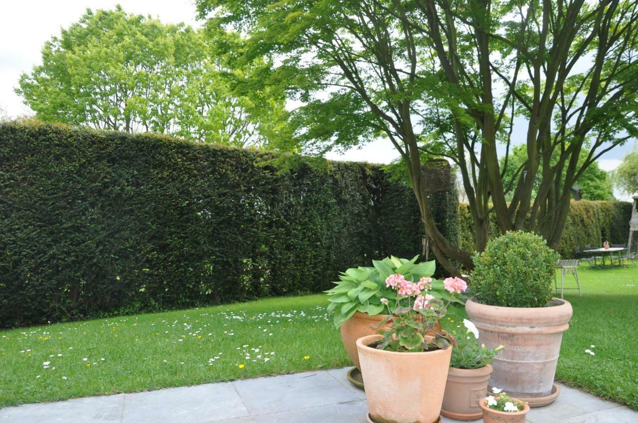 Bed and Breakfast De Logeur Asse Zewnętrze zdjęcie